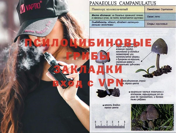 a pvp Аркадак
