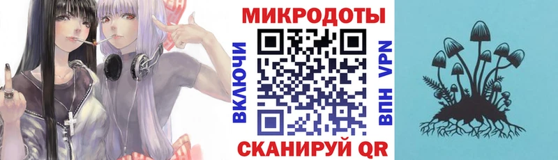 Псилоцибиновые грибы Magic Shrooms  купить наркотики сайты  Курган 