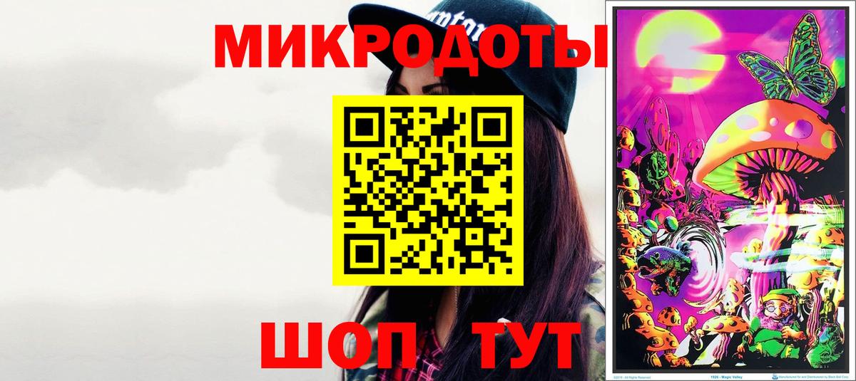 Псилоцибиновые грибы Psilocybe Курган